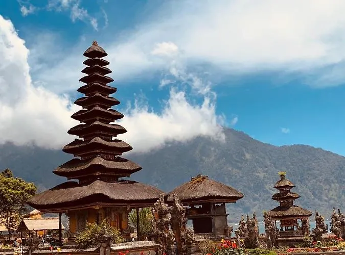 Griya Backpackers